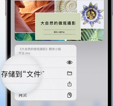 横峰apple维修中心分享iPhone文件应用中存储和找到下载文件