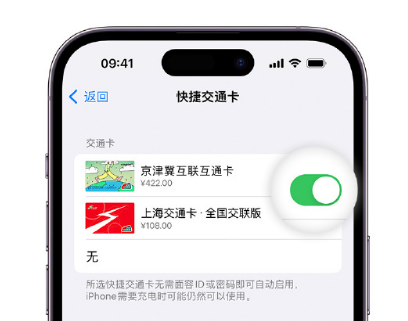 横峰apple维修点分享iPhone上更换Apple Pay快捷交通卡手绘卡面 