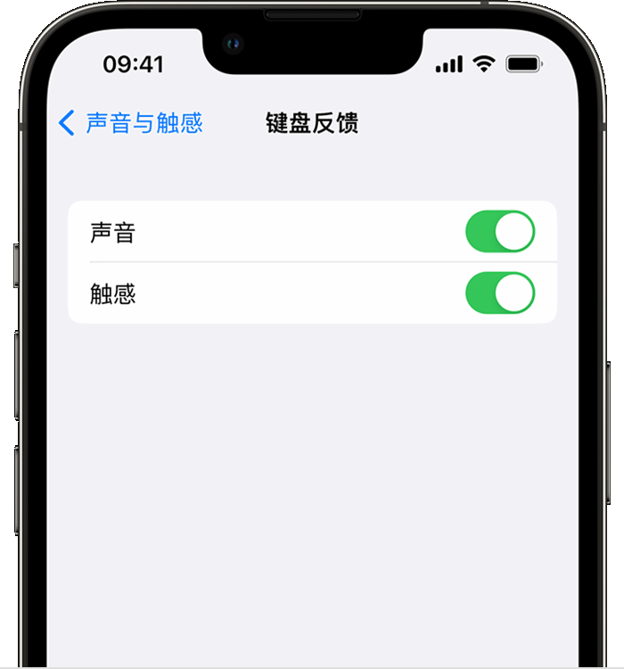 横峰苹果14维修店分享如何在 iPhone 14 机型中使用触感键盘 