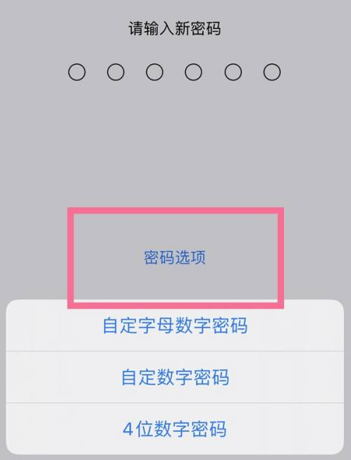 横峰苹果14维修分享iPhone 14plus设置密码的方法 