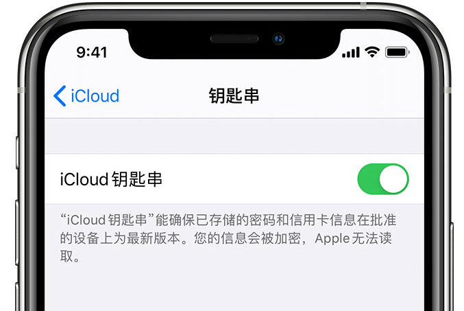 横峰苹果手机维修分享在 iPhone 上开启 iCloud 钥匙串之后会储存哪些信息 