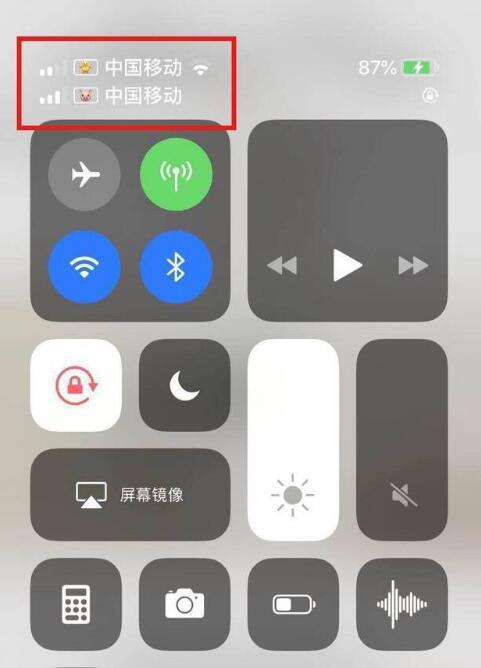 横峰苹果手机维修分享为 iPhone 12 双卡设置标签 