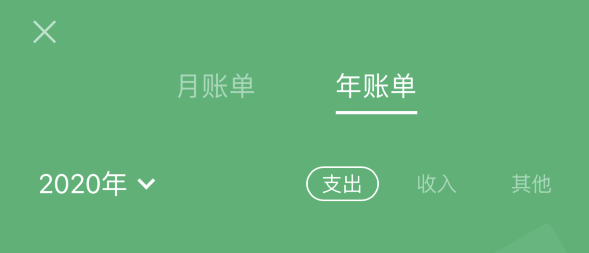 横峰苹果手机维修分享如何在 iPhone 上查看支付宝和微信年支出账单 